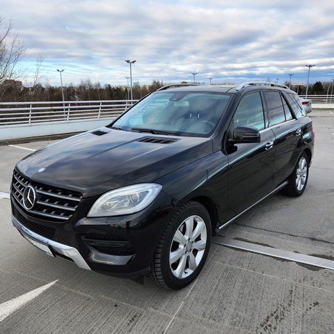 MERCEDES1