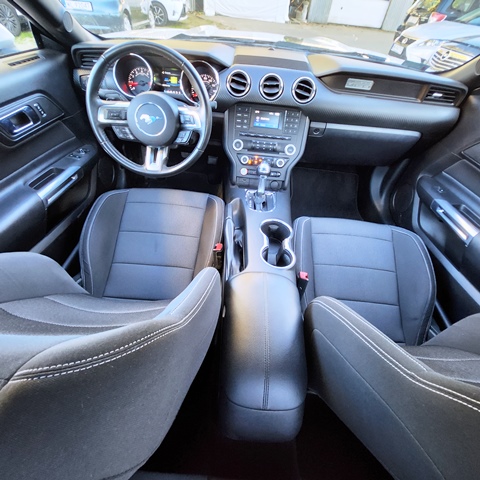 MUSTANG10
