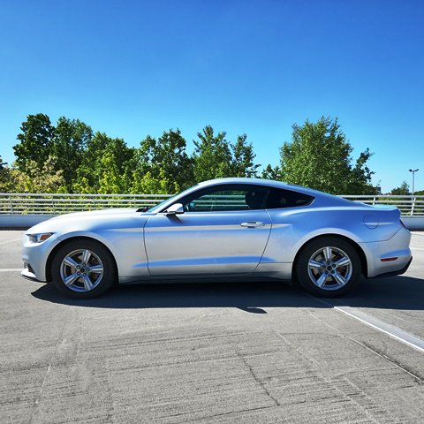 MUSTANG2