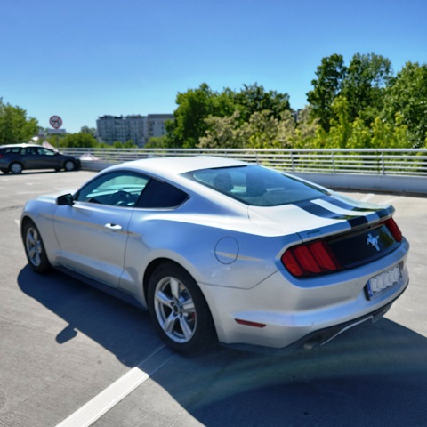 MUSTANG3