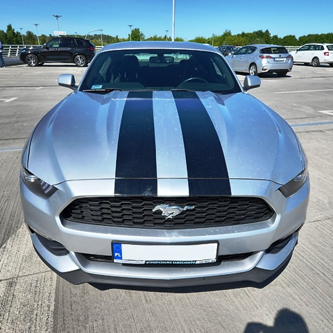 MUSTANG4