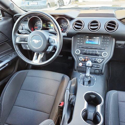 MUSTANG6
