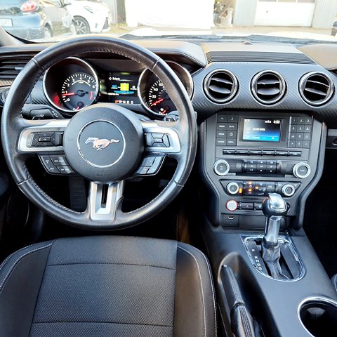 MUSTANG7