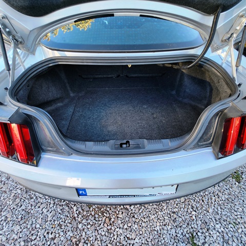 MUSTANG8