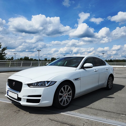 JAGUAR1