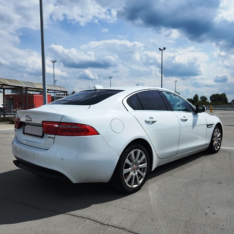 JAGUAR3