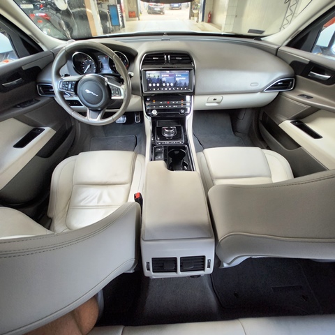 JAGUAR8