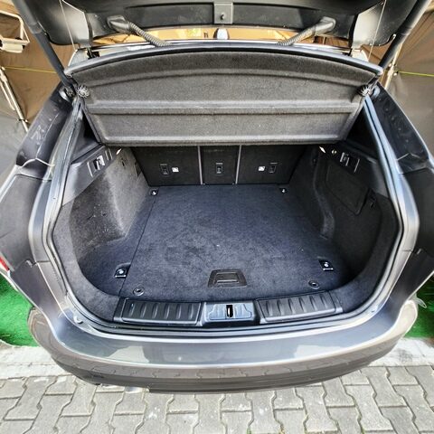 JAGUAR7